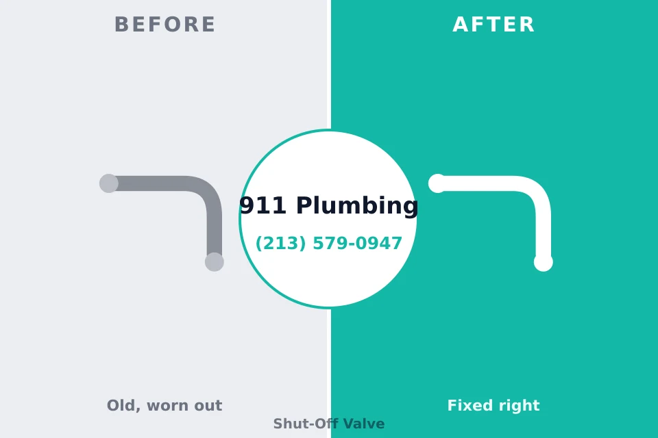 Before and after: plumbing company Horizon West, FL
